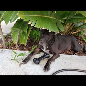 Meet your Posher, Monica